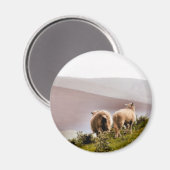 SCHAPEN MAGNEET (Voorkant / Achterkant)