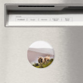 SCHAPEN MAGNEET (Insitu (Vaatwasser))