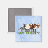 schapen magneet (Voorkant / Achterkant)