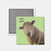 Schapen Magneet (Voorkant / Achterkant)