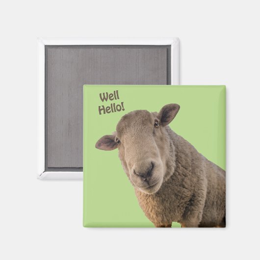 Schapen Magneet (Voorkant / Achterkant)