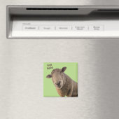 Schapen Magneet (Insitu (Vaatwasser))