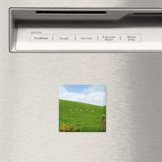 SCHAPEN! MAGNEET (Insitu (Vaatwasser))