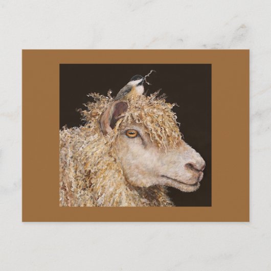 schapen met briefkaart van cichorei (Voorkant)