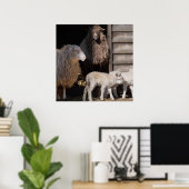 Schapen met dierenfoto's van lammeren poster (Thuiskantoor)