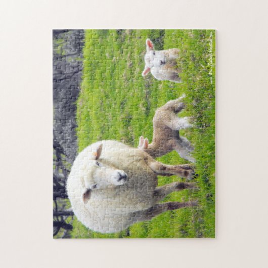 Schapen met dubbele lammeren legpuzzel (Verticaal)