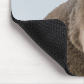 Schapen met een grappige waarschuwing achteruit va muismat (Hoek)