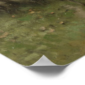 Schapen met een kudde schapen, Anton Mauve Poster (Hoek)