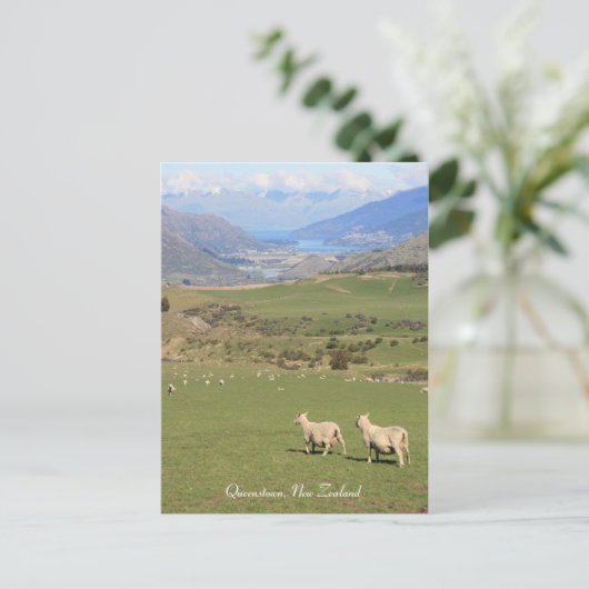 Schapen met een uitzicht, Queenstown NZ - Briefkaa Briefkaart (Staand voorkant)
