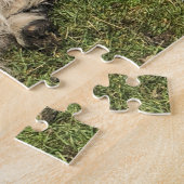 Schapen met gekrulde hoorns op Islay, Schotland. S Legpuzzel (Zijkant)