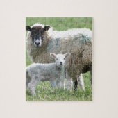 Schapen met haar lamsvlees legpuzzel (Verticaal)
