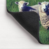 Schapen met lam in grasweide muismat (Hoek)