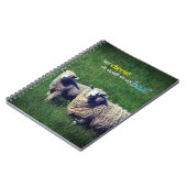 Schapen met lam in grasweide notitieboek (Linkerzijde)