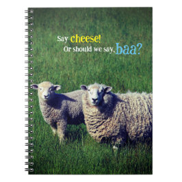 Schapen met lam in grasweide notitieboek