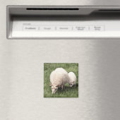 Schapen met lam magneet (Insitu (Vaatwasser))