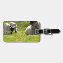Schapen met lentlammeren bagagelabel