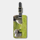 Schapen met lentlammeren bagagelabel (Voorkant verticaal)