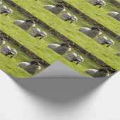 Schapen met lentlammeren cadeaupapier (Hoek)
