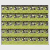 Schapen met lentlammeren cadeaupapier (Vlak)