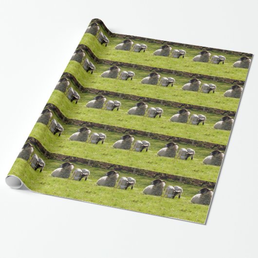 Schapen met lentlammeren cadeaupapier (Uitgerold)