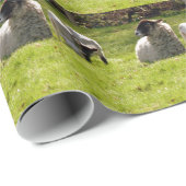 Schapen met lentlammeren cadeaupapier (Rol Hoek)