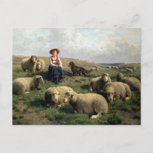 Schapen met schapen in een landschap briefkaart
