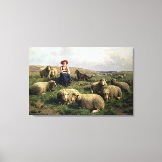 Schapen met schapen in een landschap canvas afdruk (Voorkant)