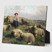 Schapen met schapen in een landschap fotoplaat (Zijkant)