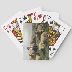 Schapen met schapen in een landschap speelkaarten