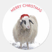 SCHAPEN MET  STICKERS met kersthoed (Voorkant)