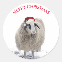 SCHAPEN MET  STICKERS met kersthoed