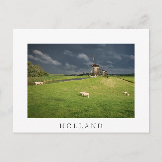 Schapen met windmolens onder donkere wolken briefkaart (Voorkant)