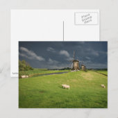 Schapen met windmolens onder donkere wolken briefkaart (Voorkant / Achterkant)