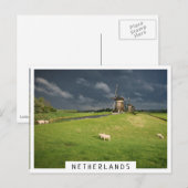 Schapen met windmolens onder donkere wolken briefkaart (Voorkant / Achterkant)