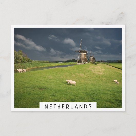 Schapen met windmolens onder donkere wolken briefkaart (Voorkant)