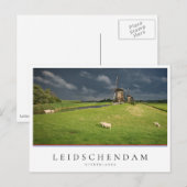 Schapen met windmolens onder donkere wolken briefkaart (Voorkant / Achterkant)