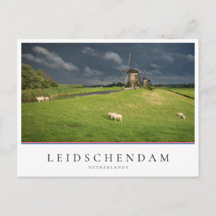 Schapen met windmolens onder donkere wolken briefkaart