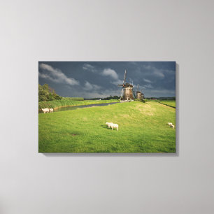 Schapen met windmolens onder donkere wolken canvas afdruk