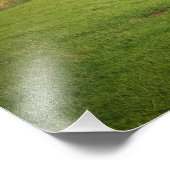 Schapen met windmolens onder donkere wolken foto afdruk (Hoek)