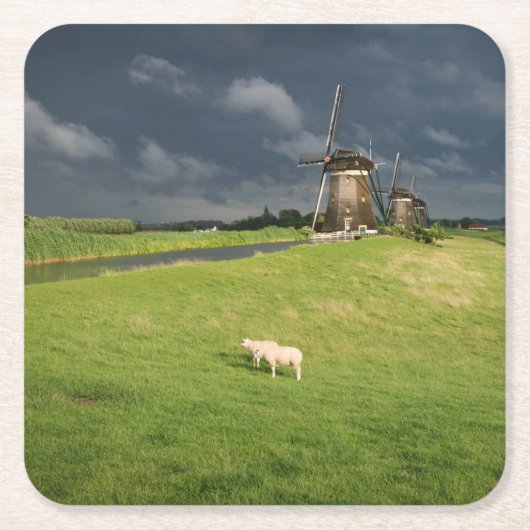 Schapen met windmolens onder donkere wolken kartonnen onderzetters (Voorkant)