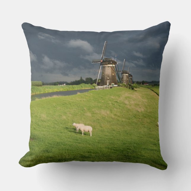 Schapen met windmolens onder donkere wolken kussen (Voorkant)