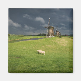 Schapen met windmolens onder donkere wolken magneet
