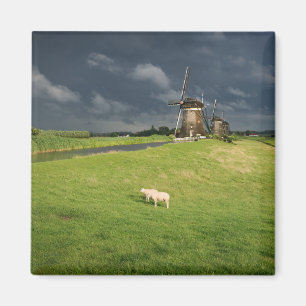 Schapen met windmolens onder donkere wolken magneet