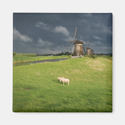 Schapen met windmolens onder donkere wolken magneet (Voorkant)