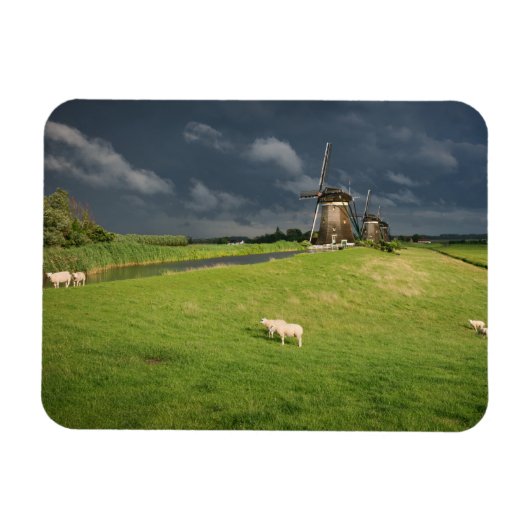 Schapen met windmolens onder donkere wolken magneet (Horizontaal)