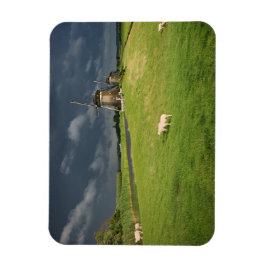 Schapen met windmolens onder donkere wolken magneet
