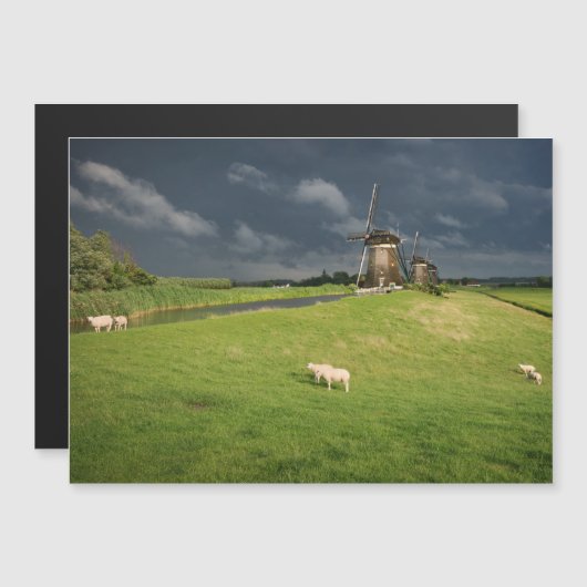 Schapen met windmolens onder donkere wolken magnetische uitnodiging (Voorkant / Achterkant)