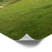 Schapen met windmolens onder donkere wolken poster (Hoek)