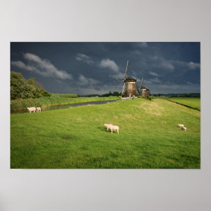 Schapen met windmolens onder donkere wolken poster