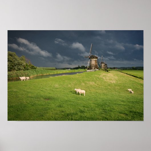 Schapen met windmolens onder donkere wolken poster (Voorkant)